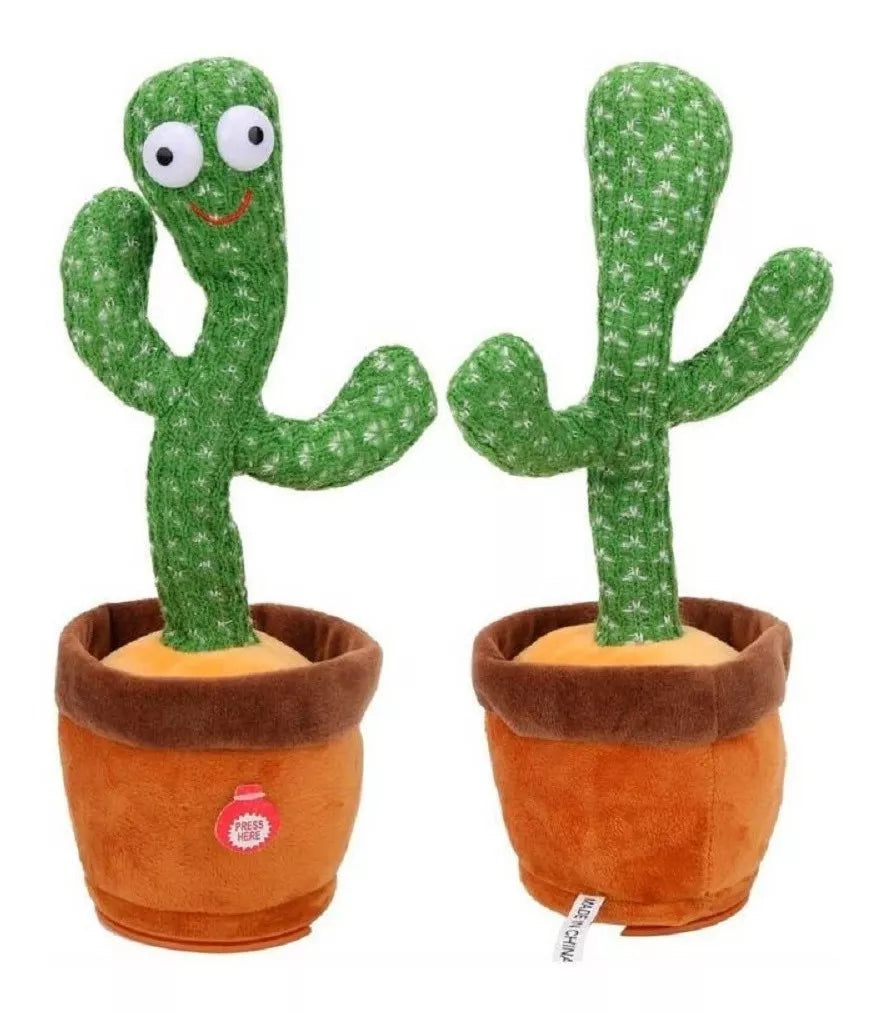 CACTUS BAILARÍN