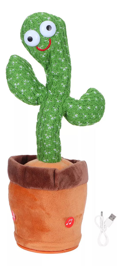 CACTUS BAILARÍN